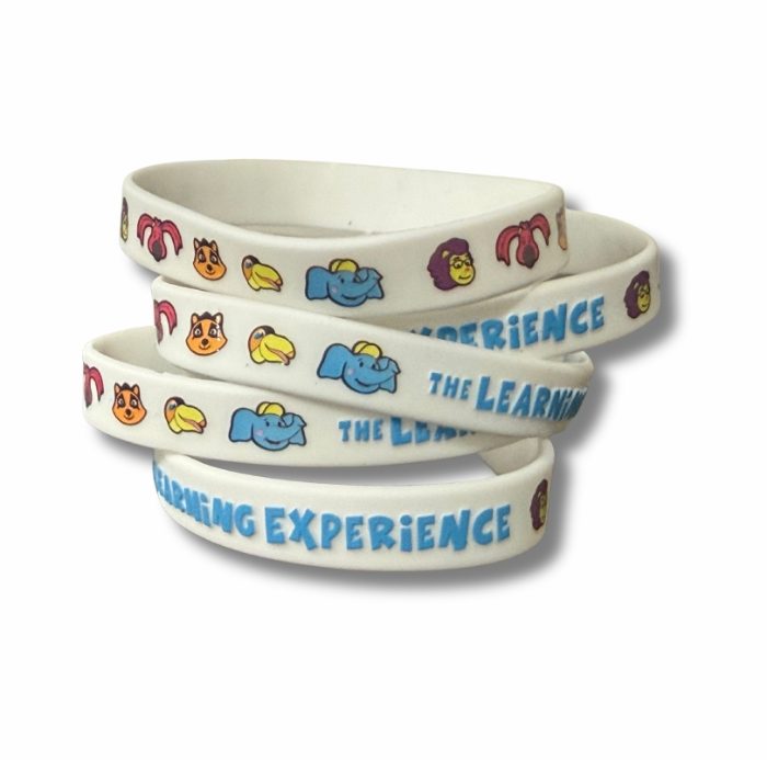The Learning Experience Wristbands – Pack of 100